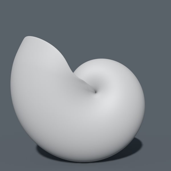 3d nautilus shell cut - Nautilus shell cut... by legendar1